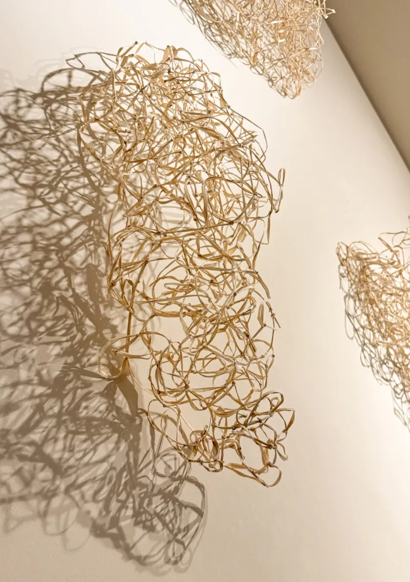 Topografías de lo desconocido