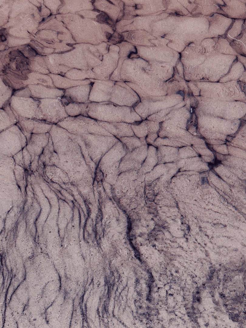 Topografía de lo descosido II