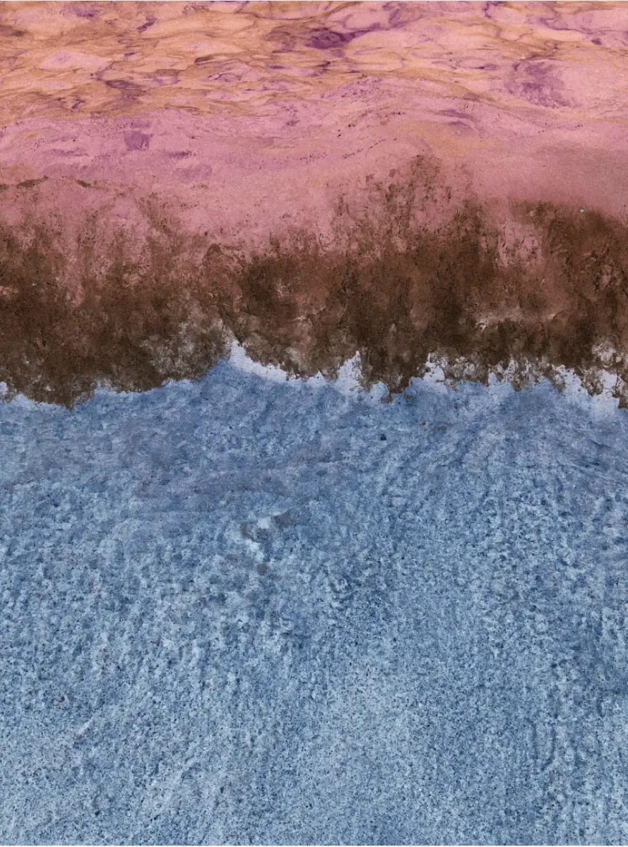 Topografía micro