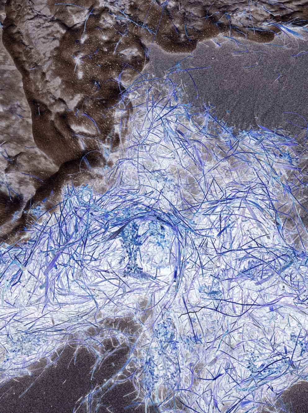 Topografía micro